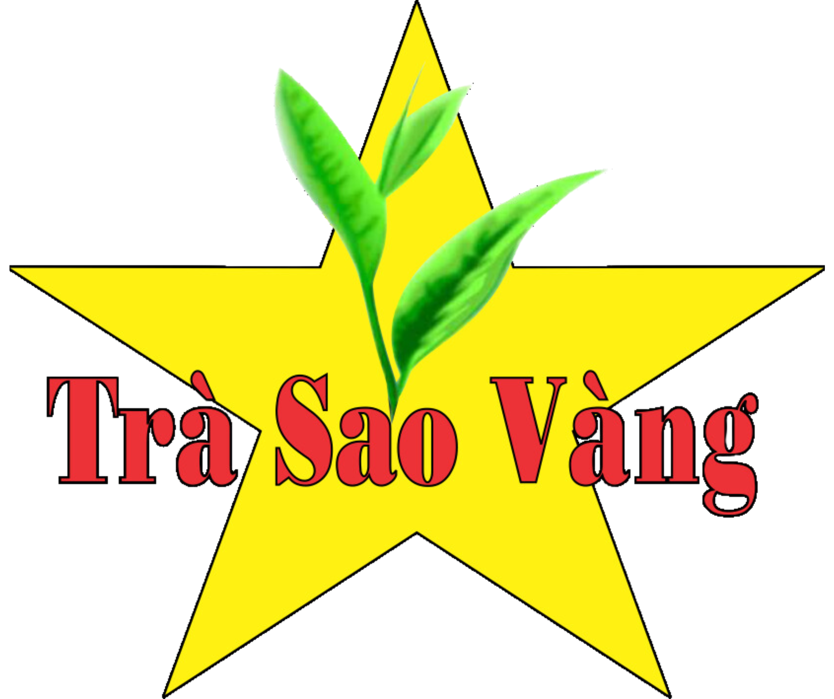 Trà sao vàng – Sao vàng Tea